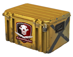 Falchion Case - visual modal