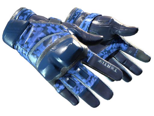 ★ Moto Gloves | Polygon skin modal