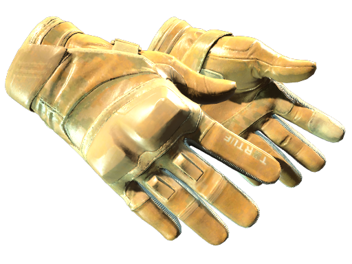 ★ Moto Gloves | Transport - skin modal