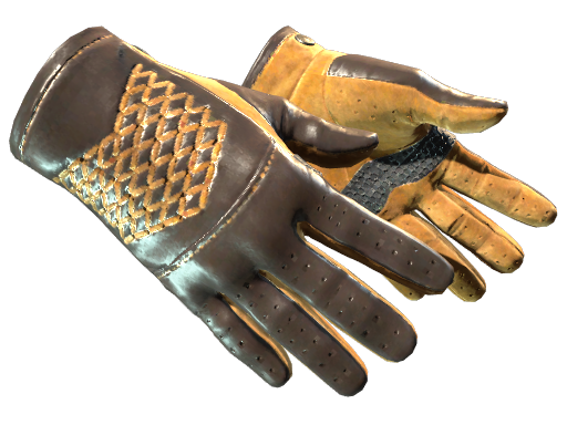 ★ Driver Gloves | Overtake - skin modal