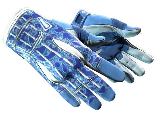 ★ Sport Gloves | Amphibious skin modal